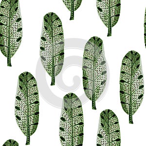 Vector Seamless Pattern