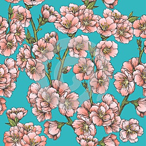 Vector seamless pattern with almond blossom in blue background. Hand drawn texture with apple tree flowers in engraving style.