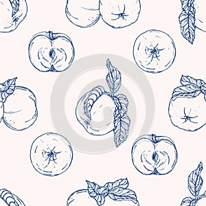 Vector seamless pattern with apples. Hand drawn textures. Elegant seamless botanical pattern