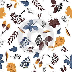 Vector, seamless pattern with autumn colorful leaves and hand-drawn fruits, autumn mood