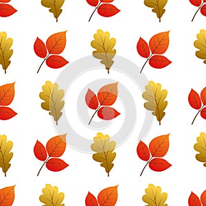 Vector seamless pattern with autumn leaves.