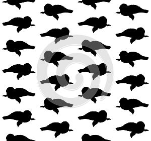 Vector seamless pattern of baby seal silhouette