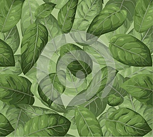 Vector seamless pattern background. Illustration greenery watercolor design: Lemon Leaf, Salal (Gaultheria shallon) photo