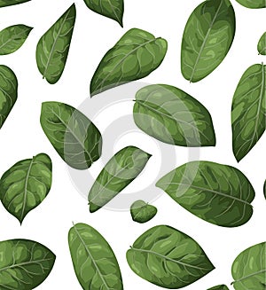 Vector seamless pattern background. Illustration greenery watercolor design: Lemon Leaf, Salal (Gaultheria shallon) photo