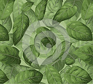 Vector seamless pattern background. Illustration greenery watercolor design: Lemon Leaf, Salal (Gaultheria shallon)