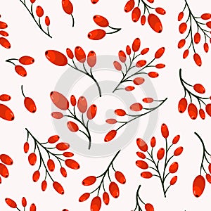 Vector seamless pattern with barberries.