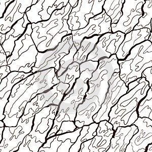 Vector seamless pattern of bark texture. Wood natural structure