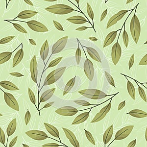 Vector seamless pattern with bay leaves twigs.