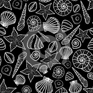 Vector seamless pattern with Beach seashells doodle style. Tattoo