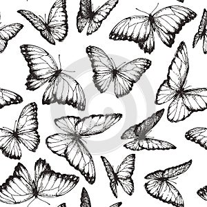 Vector seamless pattern with beautiful butterfly in engraving style. Hand drawn texture with nymphalid isolated on white