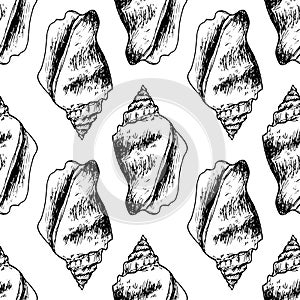 Vector seamless pattern of black seashell outline on white background. A hand drawn spiral shell in the style of a sketch vintage