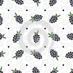 Vector seamless pattern with blackberries on white foliate background.