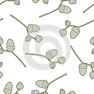 Vector seamless pattern from branch with acorns