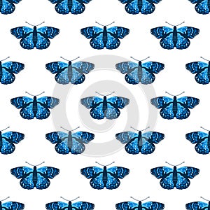 Vector seamless pattern with bright butterflies. Handdrawn texture design