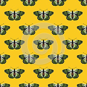 Vector seamless pattern with bright butterflies. Handdrawn texture design