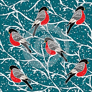 Vector seamless pattern with bullfinch bird