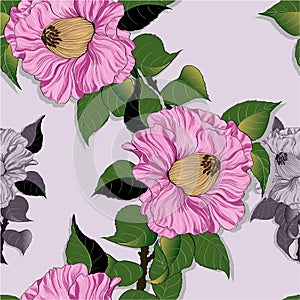 Vector seamless pattern. Camellia - branches with flowers and leaves. Exotic flower on a light background.
