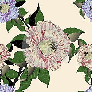 Vector seamless pattern. Camellia - branches with flowers and leaves. Exotic flower on a light background.