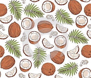 Vector seamless pattern with coconuts and tropical leaves.