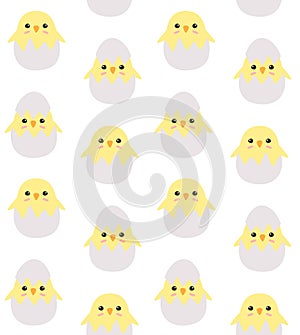 Vector seamless pattern of colored chick in egg
