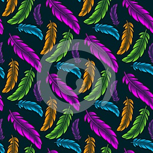 Vector seamless pattern with colored feathers of birds
