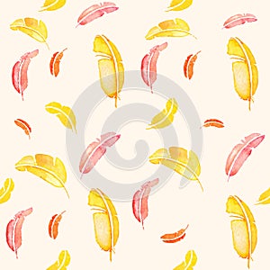 Vector seamless pattern with colored plumes , watercolor drawing cartoon feathers, hand drawn vector illustration