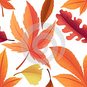 Vector seamless pattern with colorful autumn leaves isolated on white background. Autumn foliage illustration for invitation,