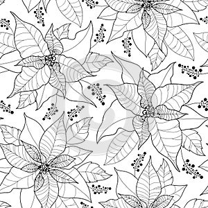 Vector seamless pattern with contour Poinsettia flower or Christmas Star on the white background. Outline floral artwork.