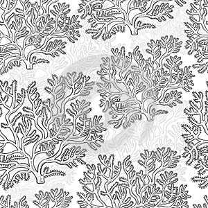 Vector seamless pattern corals. Polyps monochrome black white outline sketch illustration isolated on white background