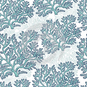 Vector seamless pattern corals. Polyps monochrome turquoise outline sketch illustration isolated on white background for