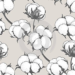 Vector seamless pattern with cotton plants. Branches with flowers background.