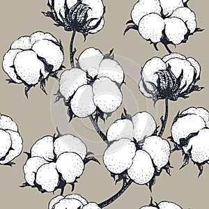 Vector seamless pattern with cotton plants. Branches with flowers background.