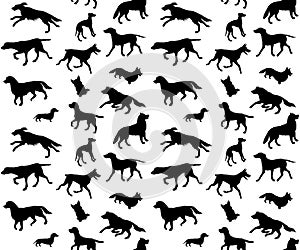 Vector seamless pattern of dog breed silhouette