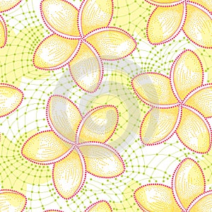 Vector seamless pattern with dotted flower of Plumeria or Frangipani in yellow and decorative green lace on the white background.