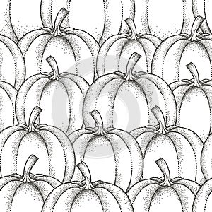 Vector seamless pattern with dotted pumpkin or gourd in black on the white background. Fruits elements in dotwork style.