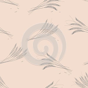 Vector seamless pattern of ears of wheat on a light brown background.