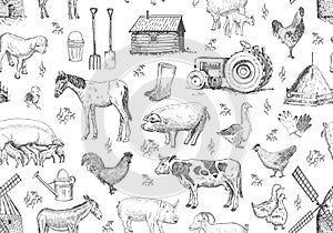Vector seamless pattern with farm elements, animals.
