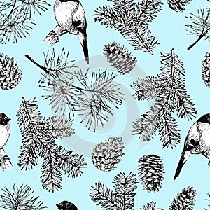 Vector seamless pattern of fir and pine branches, cones and bullfinch bird. Hand drawn elements. Christmas decoration