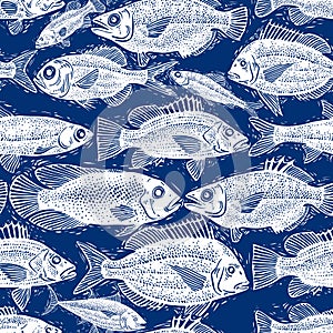 Vector seamless pattern with fishes, different species. Underwater life theme wallpaper, for use in graphic design.