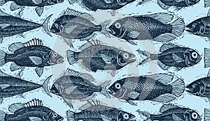 Vector seamless pattern with fishes, different species. Underwater life theme wallpaper, for use in graphic design.