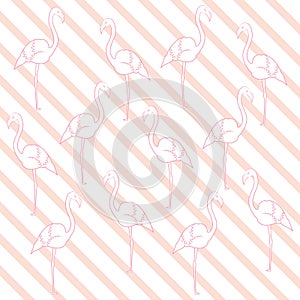 Vector seamless pattern with flamingo on pink lines background. Tropical flamingo pattern. Stock vector.