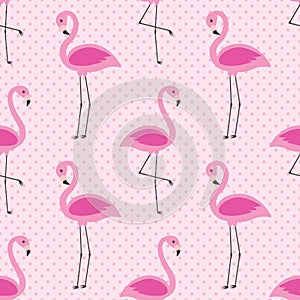 Vector seamless pattern with flamingos