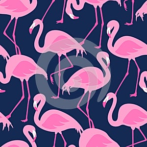 Vector seamless pattern with flamingos