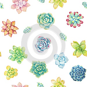 Vector seamless pattern of floral elements in a watercolor style. Succulents painted in watercolor