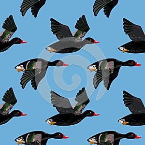 Vector seamless pattern with flying black ducks