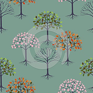 Vector seamless pattern with four seasonal trees, graphic drawing of Spring Summer Autumn Winter on green background, element for