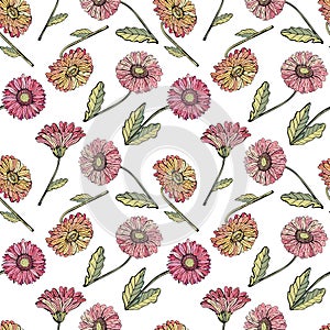 Vector seamless pattern gerbera Daisy. Background of bright, pink, orange, red flowers, realistic hand drawing. Botanical