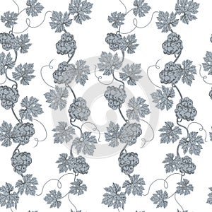 Vector seamless pattern of grape branch. Wineyard retro wallpaper on withe.