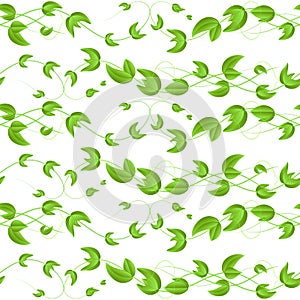 Vector seamless pattern with green ivy leaves on white background