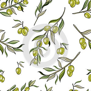 Vector seamless pattern with green olive tree branches